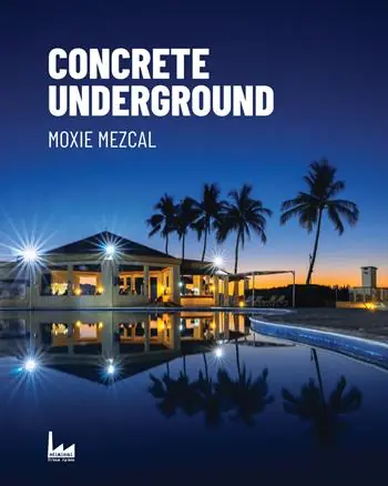 Concrete Underground. Ediz. italiana Prezzo Di Fabbrica