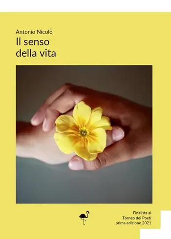 Nuova Collezione Il senso della vita
