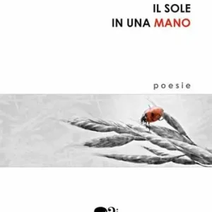 Professionale Il sole in una mano