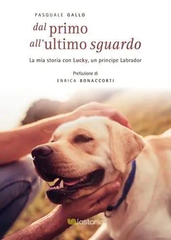 Dal primo all‘ultimo sguardo Prezzo Ridotto