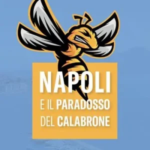 Reso Gratuito Napoli e il paradosso del calabrone