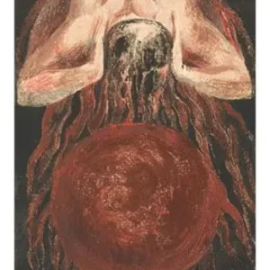 Metafore della mente. Tra letteratura e linguistica Miglior Prezzo