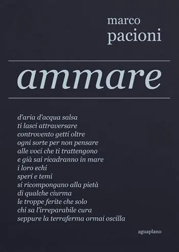 Ammare Offerta