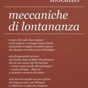 Meccaniche di lontananza Solo Oggi