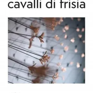 Cavalli di Frisia Vendita Finale
