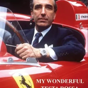 My wonderful testa rossa 0726-0606-0726 Pagamento Sicuro