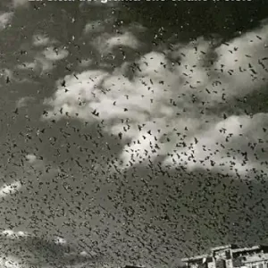 Resegonia. La città dei graffiti che orlano il cielo Offerta Speciale