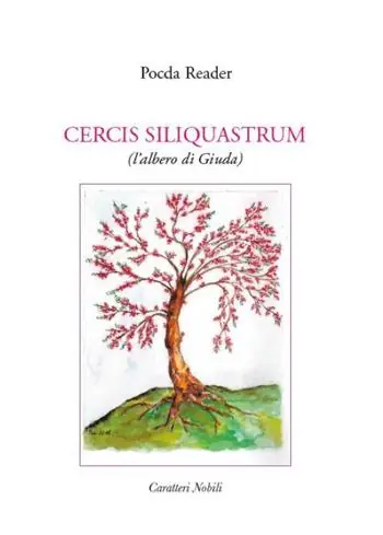 Direttamente Dal Produttore Cercis siliquastrum (l‘albero di Giuda)