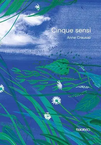 I cinque sensi Subito Disponibile