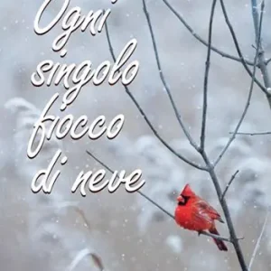 Promozione Esclusiva Ogni singolo fiocco di neve
