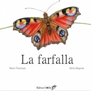 Solo Oggi La farfalla. Ediz. illustrata