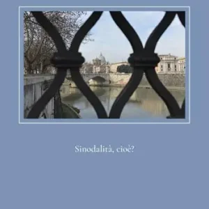 Acquista Ora Sinodalità, cioè?