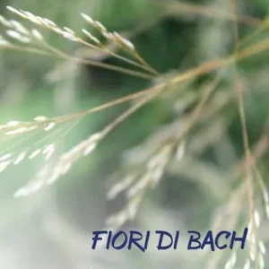 A Buon Prezzo Fiori di Bach. Conoscerli, comprenderli, utilizzarli