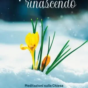 Prezzo Di Fabbrica Rispondere al Natale rinascendo. Meditazioni sulla Chiesa per l‘Avvento