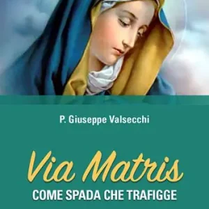 Più Venduto Via Matris. Come spada che trafigge