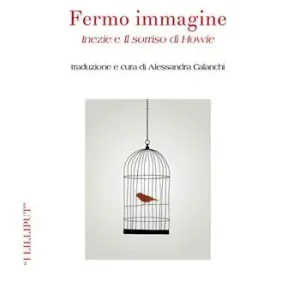 Compra Adesso Fermo immagine. «Inezie» e «Il sorriso di Howie»