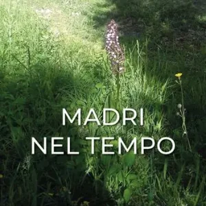 Quantità Limitata Madri nel tempo