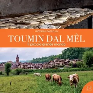 Toumin dal Mêl. Il piccolo grande mondo Compra Online