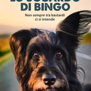 Lo sguardo di Bingo. Non sempre tra bastardi ci si intende Occasione