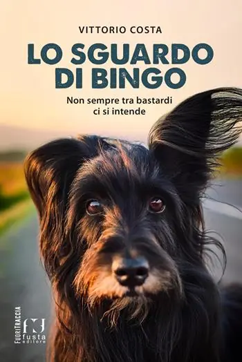 Lo sguardo di Bingo. Non sempre tra bastardi ci si intende Occasione