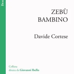 Ultima Occasione Zebù bambino