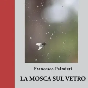 Non Perdere La mosca sul vetro