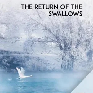 The return of the swallows Pagamento Sicuro