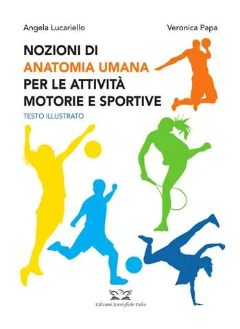 Nozioni di anatomia umana per le attività motorie e sportive Prezzo Scontato