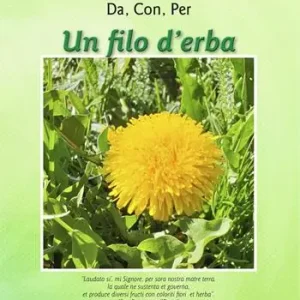 Un filo d‘erba. Lezioni di letteratura, storia, scienze, musica, botanica Affare