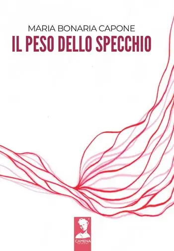 Occasione Il peso dello specchio