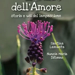 Il bulbo dell‘amore. Storia e usi del lampascione Direttamente Dal Produttore