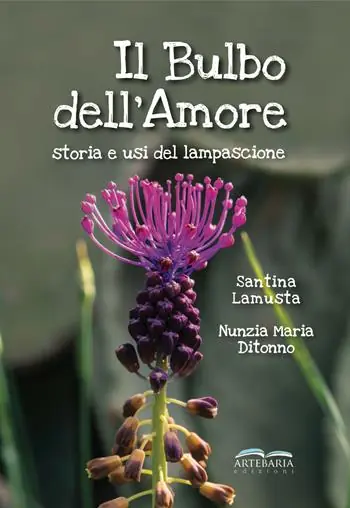 Il bulbo dell‘amore. Storia e usi del lampascione Direttamente Dal Produttore