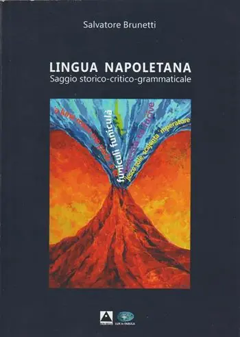 Lingua napoletana. Saggio storico-critico-grammaticale Offerta Del Giorno