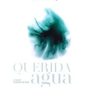 Querida agua. Ediz. a colori Offerta Speciale