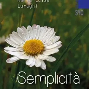 Occasione Imperdibile Semplicità