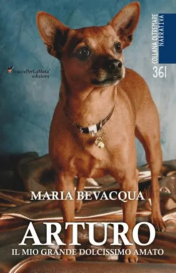 Economico Arturo. Il mio grande dolcissimo amato