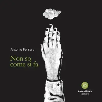 Non so come si fa Spedizione Espresso