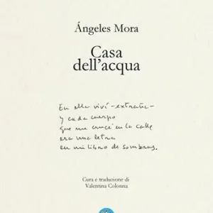 A Buon Prezzo Casa dell‘acqua. Poesie (1982-2022)