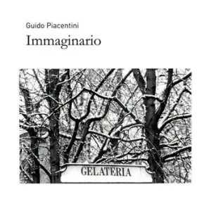 Immaginario. Ediz. illustrata Esclusivo