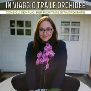 In viaggio tra le orchidee. Consigli semplici per fioriture straordinarie Offerta Lampo