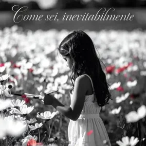 Come sei, inevitabilmente Prezzo Conveniente