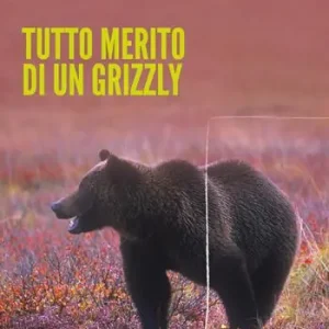 Tutto merito di un grizzly Occasione