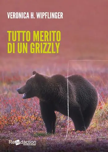 Tutto merito di un grizzly Occasione