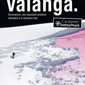 Miglior Prezzo Valanga. Riconoscere le 10 più importanti situazioni tipo di pericolo valanghe. Ediz. ampliata