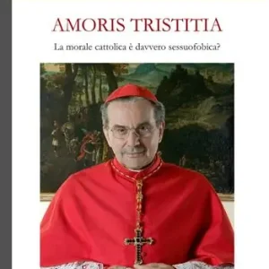 Promo Stagionale Amoris tristitia. La morale cattolica è davvero sessuofobica?