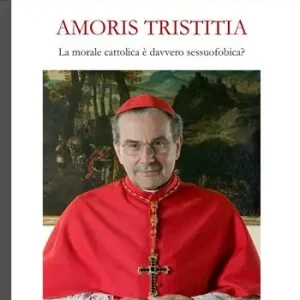 Ordina Subito Amoris tristitia. La morale cattolica è davvero sessuofobica?