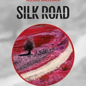 Non Perdere Silk road