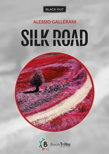Non Perdere Silk road