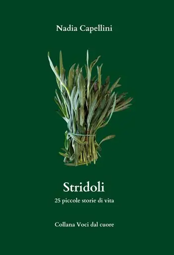 Direttamente Dal Produttore Stridoli. 25 piccole storie di vita