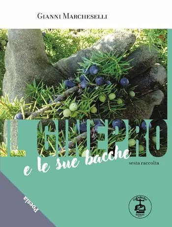 Il ginepro e le sue bacche. Ediz. illustrata. Vol. 6 Professionale